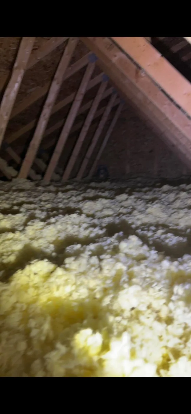 Attic insulation and ventilation inspection