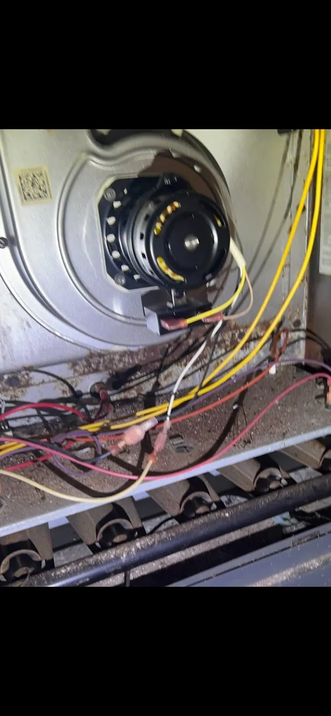 Furnace heat exchanger inspection